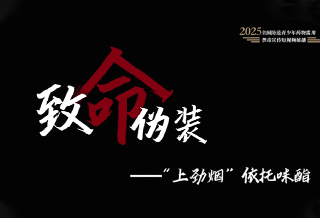 《致命伪装》